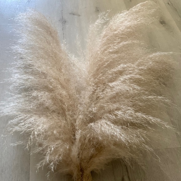 Dried pampas grass 3 pcs tall bohemian‎ fall festival home Decor natural - Picture 5 of 6